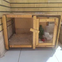 جفت کن پرنده