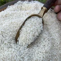 برنج طارم فقط 2100