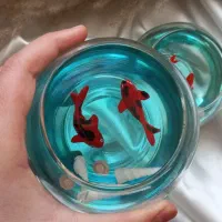 تنگ ماهی رزینی