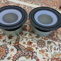 باند الجی