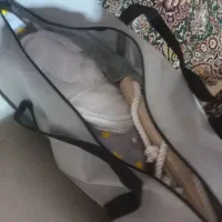 ننو نوزاد