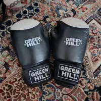 دستکش گرین هیل، Green Hill