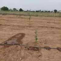 ملک  تاکستان ۸۵۰ متری|فروش دفتر صنعتی، کشاورزی، تجاری|تهران, شهرک امام خمینی|دیوار