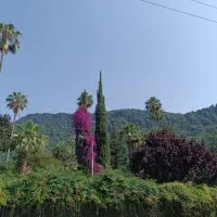 459 متر سند دار یالبندان کلارآباد نمک آبرود مالک