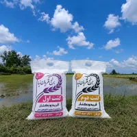 برنج هاشمی و طارم ممتاز امساله به شرط