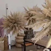 بوکه گل پامپاس آویز برای دکوراسیون