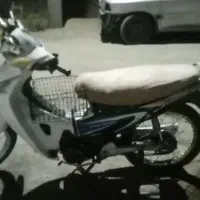 بیکلاج دلفین