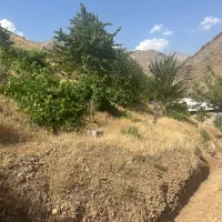 فروش زمین جاده چالوس