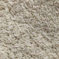 فروش برنج اعلاء هاشمی