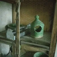 جفت کن کبوتر