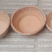 جاتخمی کفتر