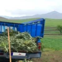 نیسان ۸۸ تک سوز