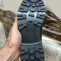 پوتین بهمن۴۳