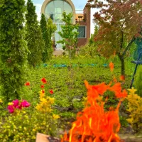 اجاره کلبه ویلای مینیمال دل جنگل با جکوزی