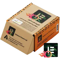 افزونه سرعت المنتور با نت ملی طراحی سایت وردپرس