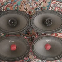 باند و آمپیلی