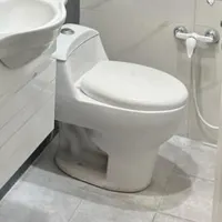 توالت فرنگی