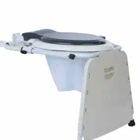 توالت فرنگی
