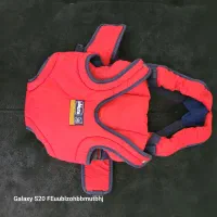 آغوشی چیکو