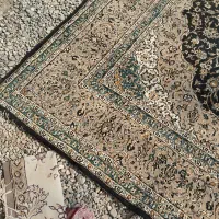 فرش|فرش|شهرضا, |دیوار