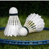 توپ بدمینتون پر اصل