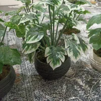 گل مصنوعی مدل طبیعی