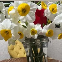 مهره برد قدیمی