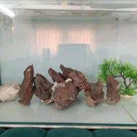 آکواریوم|ماهی|مشهد, امیریه|دیوار