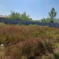 فروش-زمین-مسکونی-سوستان-لاهیجان