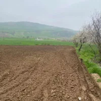فروش زمین کشاورزی