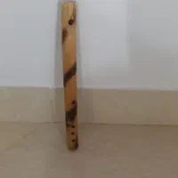 فلوت سالم