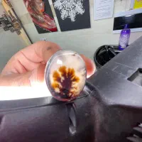 انگشتر شجر کلکسیونی خاص