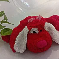 عروسک برای روز دختر
