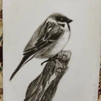 نقاشی سیاه قلم