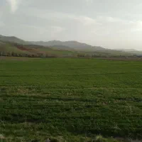 فروش-یک-قطعه-زمین-160متر