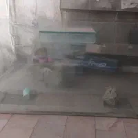 آکواریوم
