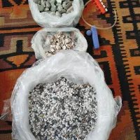 صدف و سنگ آکواریوم