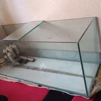 آکواریوم نو نو