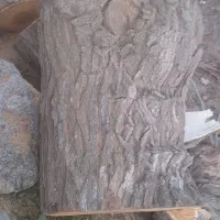 هرس وبرش قطع درختان خشک منزل وباغ