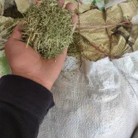 یونجه|عمده‌فروشی|جره و بالاده, |دیوار