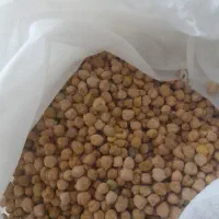 نخود دیم کیلو ۲۰۰