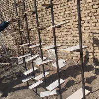 فیتریم کفش درخت نو