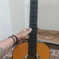 گیتار دیامند