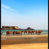 تاکسی دربست بین شهری(بیرون از جزیره قشم)