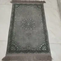 پادری طوسی فیلی