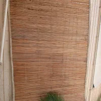 حصیر