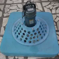 اسپلش ماهی