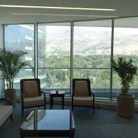 استخدام مشاور حرفه ای در اطلس مال