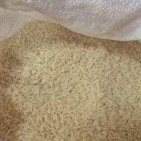 برنج طارم هاشمی