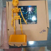 اسکلت های رقاص اکواریوم